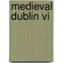 Medieval Dublin Vi