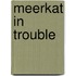 Meerkat In Trouble