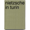 Nietzsche In Turin door Lesley Chamberlain