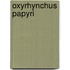 Oxyrhynchus Papyri