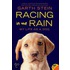Racing In The Rain