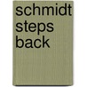 Schmidt Steps Back door Mr. Louis Begley