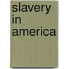 Slavery In America door Orville Vernon Burton