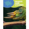 Snakes and Lizards by Claire Hibbert