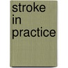 Stroke In Practice door Matthew Walters