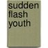 Sudden Flash Youth