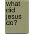 What Did Jesus Do?