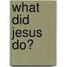 What Did Jesus Do? door Spencer Scott