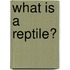 What Is A Reptile?