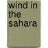 Wind in the Sahara