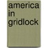 America in Gridlock