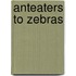 Anteaters To Zebras