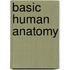 Basic Human Anatomy