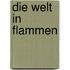 Die Welt in Flammen