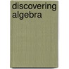 Discovering Algebra door Pirich