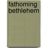 Fathoming Bethlehem door Robert F. Morneau