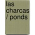 Las charcas / Ponds