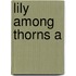 Lily Among Thorns A