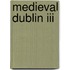 Medieval Dublin Iii