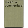 Micah: A Commentary door Mays