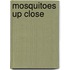 Mosquitoes Up Close