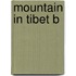 Mountain In Tibet B