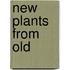 New Plants From Old