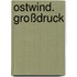 Ostwind. Großdruck