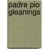 Padre Pio Gleanings