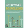 Pathways To Polling by Amy Fried