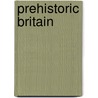 Prehistoric Britain door J.D. Hill