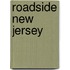 Roadside New Jersey