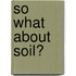 So What About Soil?