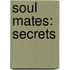 Soul Mates: Secrets