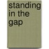 Standing In The Gap