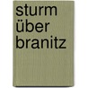 Sturm über Branitz by Franziska Steinhauer