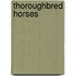 Thoroughbred Horses