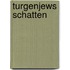 Turgenjews Schatten