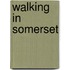Walking In Somerset