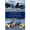 Whales And Dolphins by Posy Simmonds