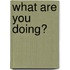 What Are You Doing?