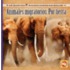 Animales Migratorios