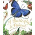 Butterfly Is Patient