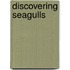 Discovering Seagulls