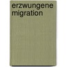 Erzwungene Migration door Volker Ahmad Qasir