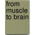 From Muscle To Brain