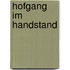 Hofgang im Handstand