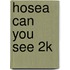 Hosea Can You See 2k