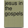 Jesus in the Gospels door John F. Fink