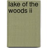 Lake Of The Woods Ii door Duane R. Lund
